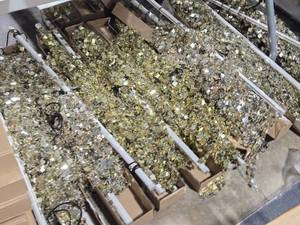 lot 294 image: Lot of (5) Wild Things Shiny Decorative Curtain 3 x 12