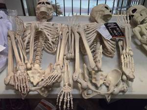 lot 370 image: Lot of (2) Pose-N-Stay Antique Skeleton