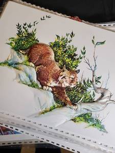 lot 39 image: Wildlife Relief Art Prints - Bobcat, Trout, Ducks, Dogs, and More