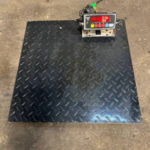 lot 83 image: My Scale