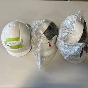 lot 101 image: Hard Hats