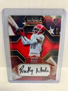 lot 85 image: 2024 Ricky White Auto #25