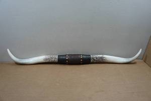 lot 126 image: Resin Texas Longhorns - 40