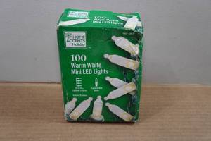 lot 17 image: Home Accents Warm White Mini LED Lights