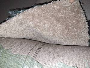 lot 42 image: 12x11 carpet roll