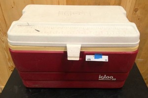 lot 35 image: Red Igloo cooler
