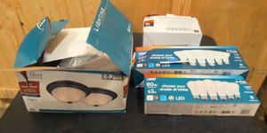 lot 50 image: Misc light bulbs, one light fixture