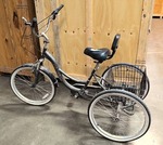North Woods Black Adult Trike