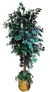 lot 14K image: LR - 8-Foot Artificial Ficus Tree in Brass Tone Planter