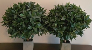 lot 35K image: MBR - Pair of Faux Potted Plants 28 Tall with 5.5 Square Bases