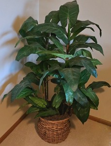 lot 52K image: LL-BR3 - 52-Inch Tall Artificial Plant with Woven Basket