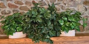 lot 77K image: LL-FR - Set of 3 Decorative Artificial Plants with Ceramic and Terracotta Planters