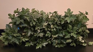lot 79K image: LL-FR - Pair of Faux Potted Plants, 15 Inch Tall Decorative Greenery