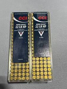 lot 3 image: 200 Rounds cci .22lr Hollow Point Ammo