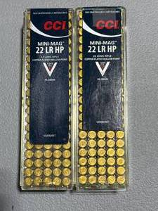 lot 5 image: 200 Rounds cci .22lr Hollow Point Ammo