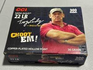 lot 11 image: 300 Rounds choot em .22lr Ammo