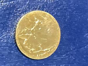 lot 45 image: .999 24kt Gold Plated Buffalo Nickel
