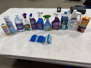 lot 0700 image: Assorted Household Cleaning Supplies
