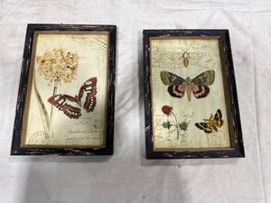 lot 0863 image: Framed Butterfly Moth Art Prints