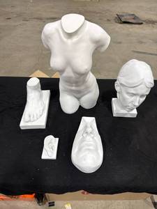 lot 0866 image: Anatomical Plaster Casts Set