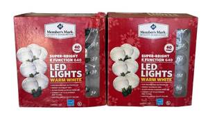 lot 310D image: 2 Boxes Members Mark LED G40 Warm White String Lights (60 Count Each)