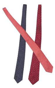 lot 576R image: O - Set of 3 Salvatore Ferragamo Silk Neckties Assorted Patterns