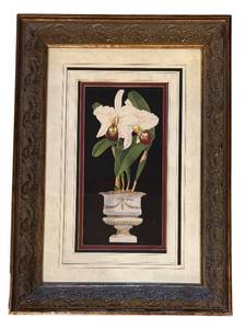 lot 654R image: MB - Framed Orchid Botanical Print