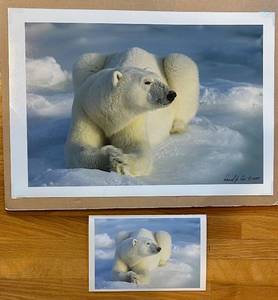 lot 784C image: LR - Signed Daniel J. Cox Polar Bear Photographic Print with Postcard