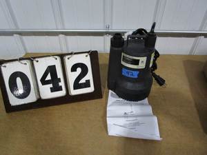 lot 42 image: Everbilt Portable Water Pump