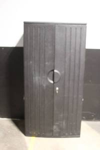 lot 88 image: Black Plastic Storage Cabinet with Shelves and Lock, 36x22x72 Inches