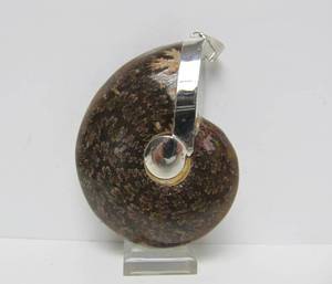 lot 41 image: Large Sterling Silver Ammonite Pendant