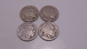 lot 21 image: 4-Buffalo Head Nickels