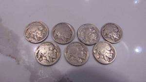 lot 62 image: 7-Buffalo Head Nickels
