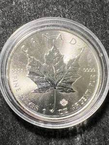 lot 50 image: 2017 CANADIAN MAPLE LEAF 1 TROY OZ .9999 FINE SILVER IN AIRTITE