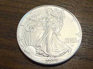 lot 16 image: 2024 Walking Liberty 1 oz .999 Silver Coin