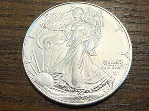 lot 18 image: 2024 Walking Liberty 1 oz .999 Silver Coin