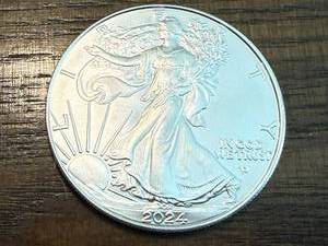 lot 50 image: 2024 Walking Liberty 1oz .999 Silver Coin