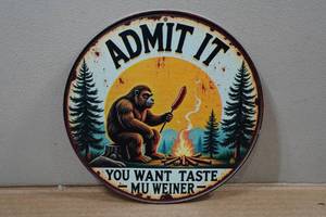lot 150 image: Novelty Metal Sign - Admit It