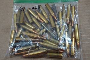 lot 321 image: 41 Loose .223 Rem Ammo