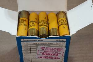 lot 417 image: 25 Federal Duck and Pheasant 20 Gauge 2-34 4 Shot Shotshells