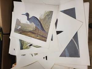 lot 19SC image: Audubons Birds Portfolio of Twelve Prints by Wm. Penn Publishing