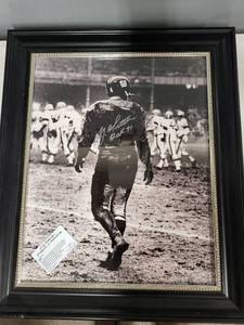 lot 23SC image: Framed Y.A. Tittle Autographed Photo with Leaf COA New York Giants HOF 71