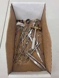 lot 10AE image: Collection of Vintage Dental Tools and Accessories
