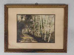 lot 29U image: Wallace Nutting Framed Print Birch Bend