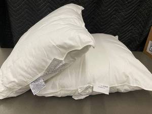 lot 31 image: 2 Pillows - Bokser Home