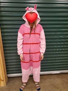 lot 73 image: Piglet Hooded Onesie Costume  and 4 other onesie costumes