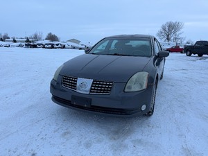 lot 14 image: 2005 Nissan Maxima