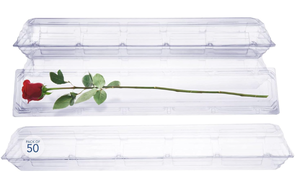 lot 470 image: Royal Imports Clear Plastic Flower Box for Corsage, Boutonniere, Rose, Orchid Prom Wedding Craft Container 30x5x4-50 Pack