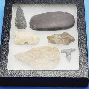 lot 18 image: Very Interesting Collection in Case--Must Read Descritpion