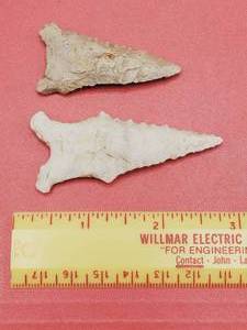 lot 24 image: RARE 2 Fine BEVELED Daltons--Archaic, 2 Great Lakes & 2 58 Museum Quality